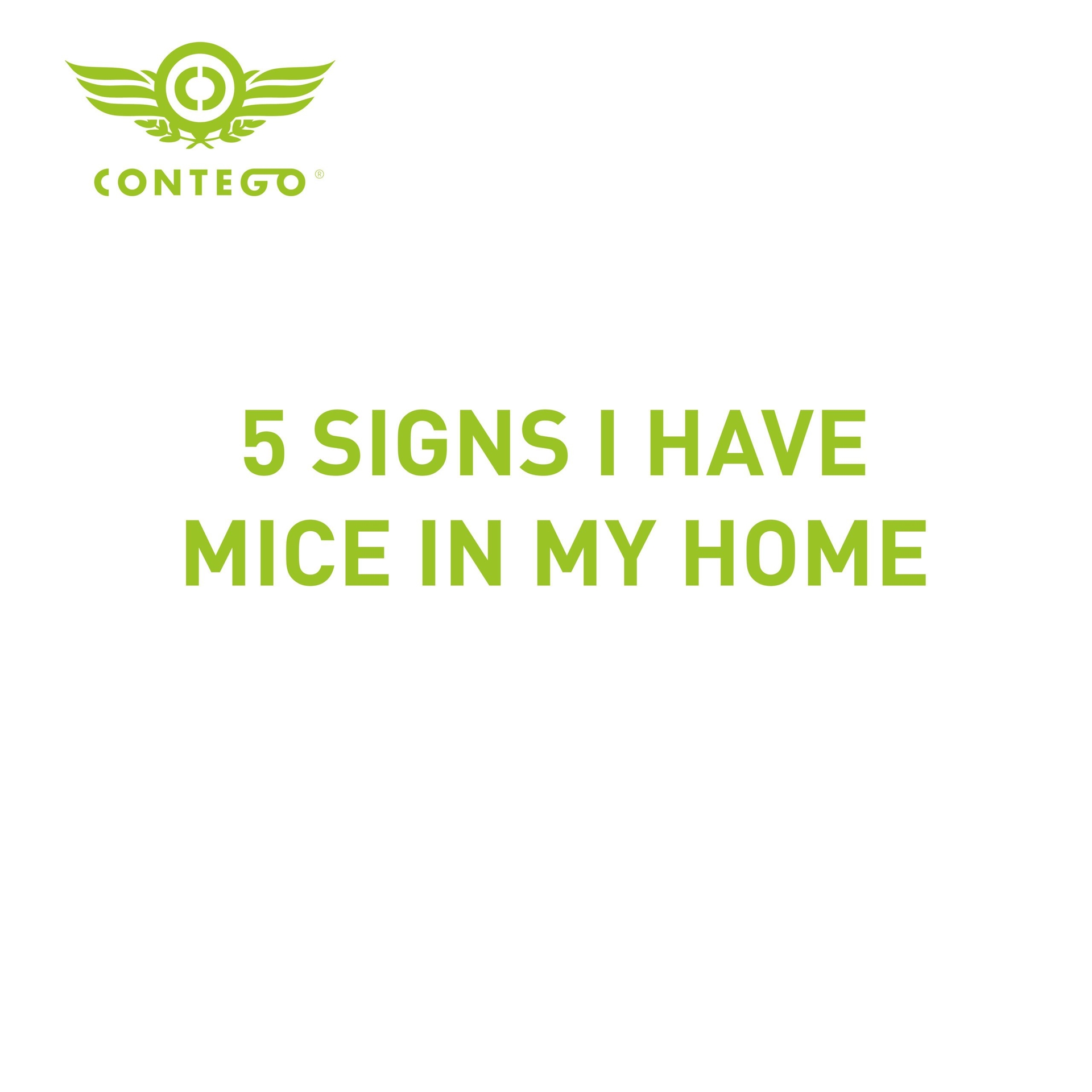 5 Signs I Have Mice In My Home
