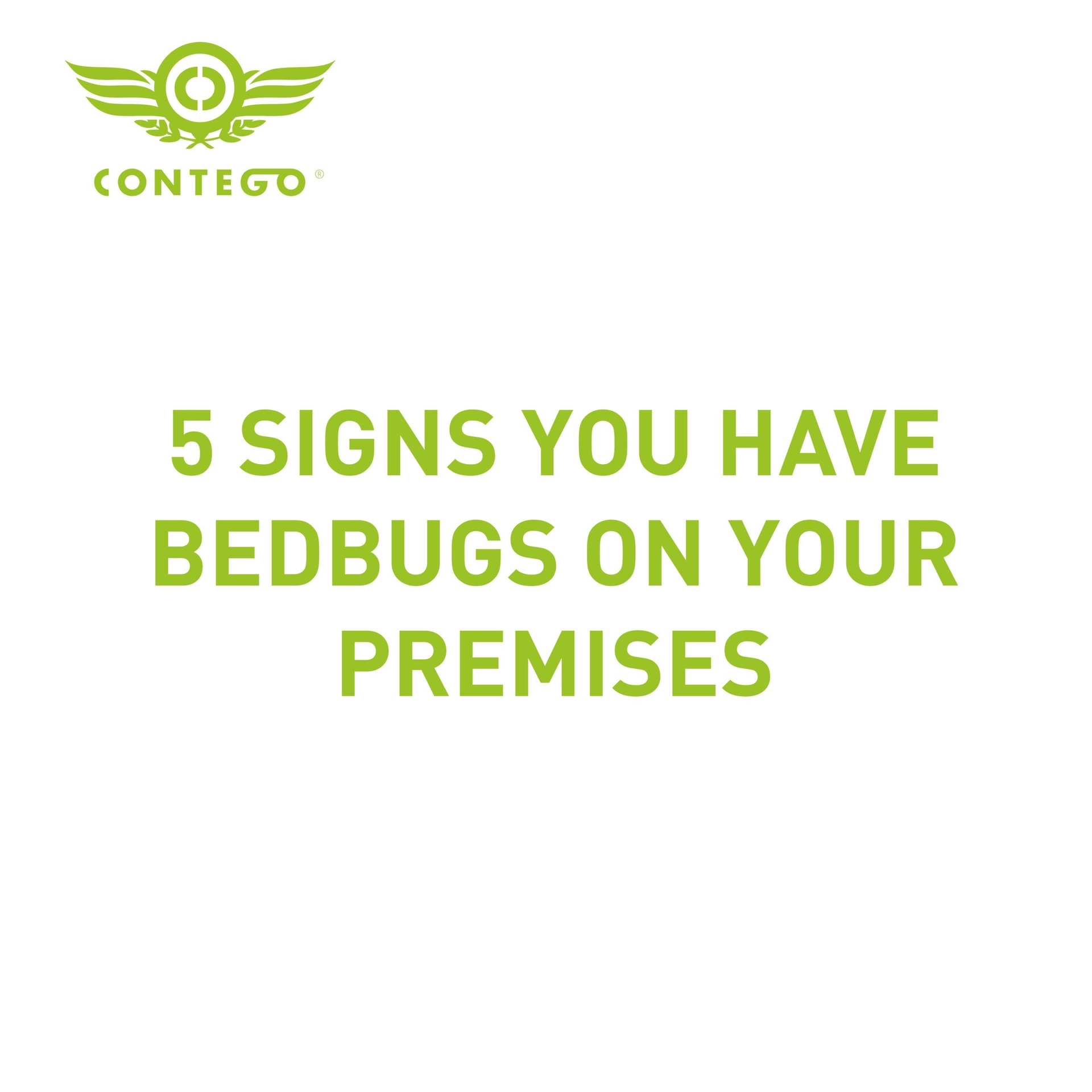 5 Signs You Have Bedbugs On Your Premises