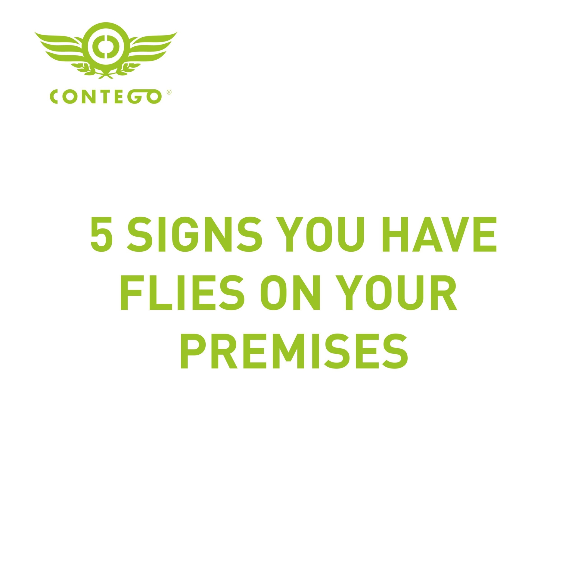 5 Signs You Have Flies On Your Premises