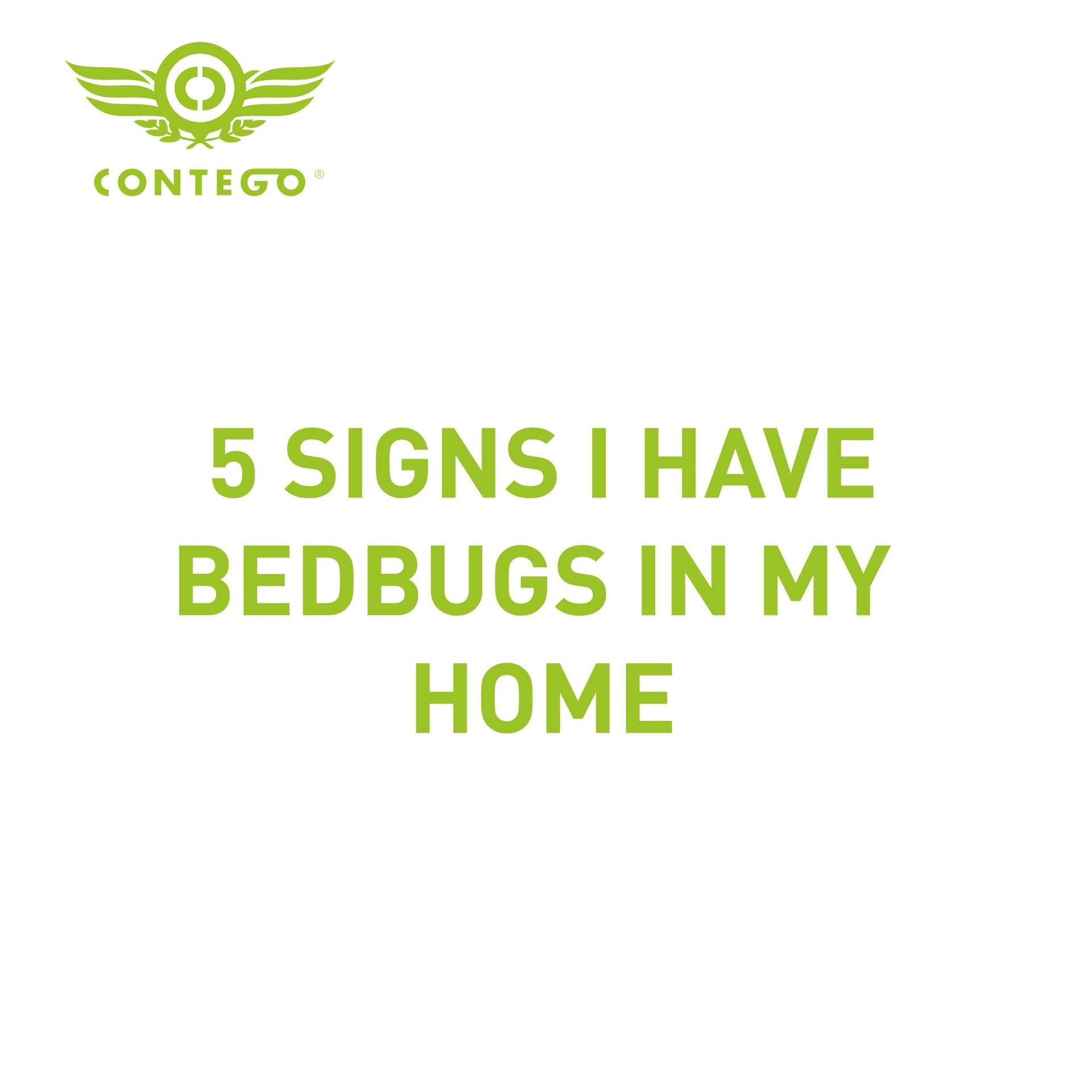 5 Signs I Have Bedbugs In My Home