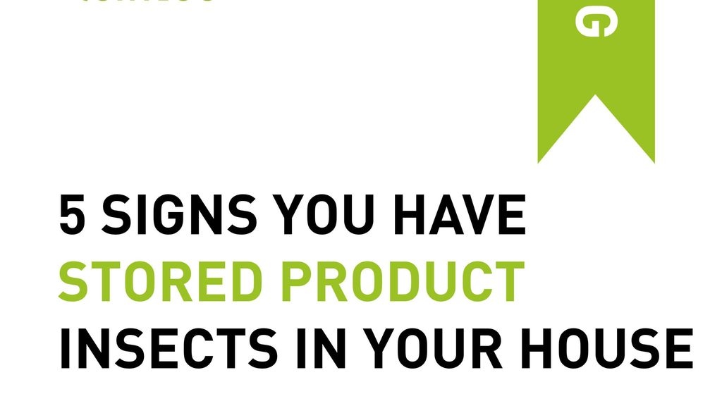 5 Signs You Have Stored Product Insects in Your House