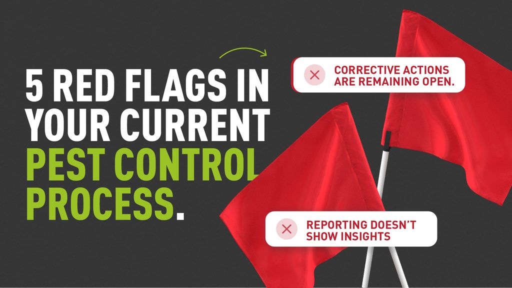 A graphic of 2 red flags with warning icons overlaying them and text which read "5 Red Flags In Your Current Pest Control Process" 