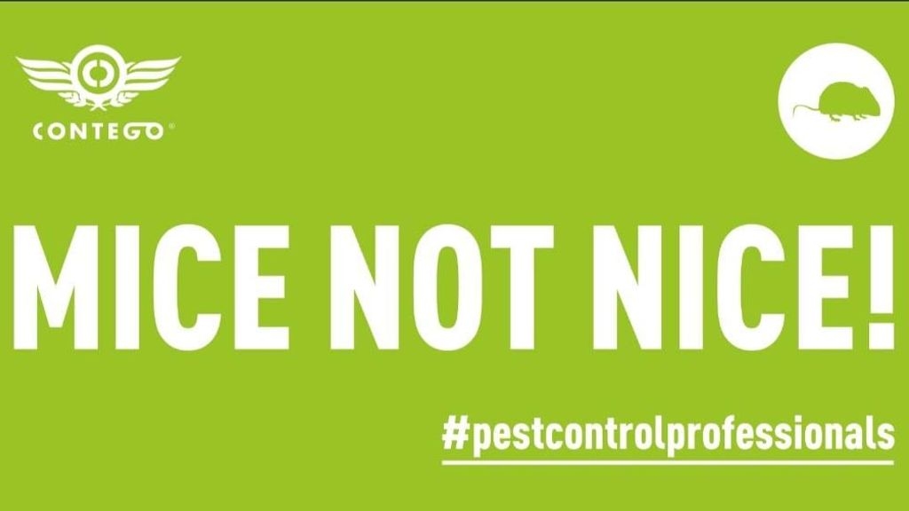Mice Not Nice!