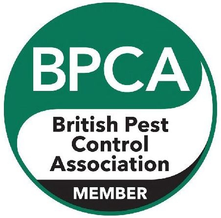 BPCA Logo 480