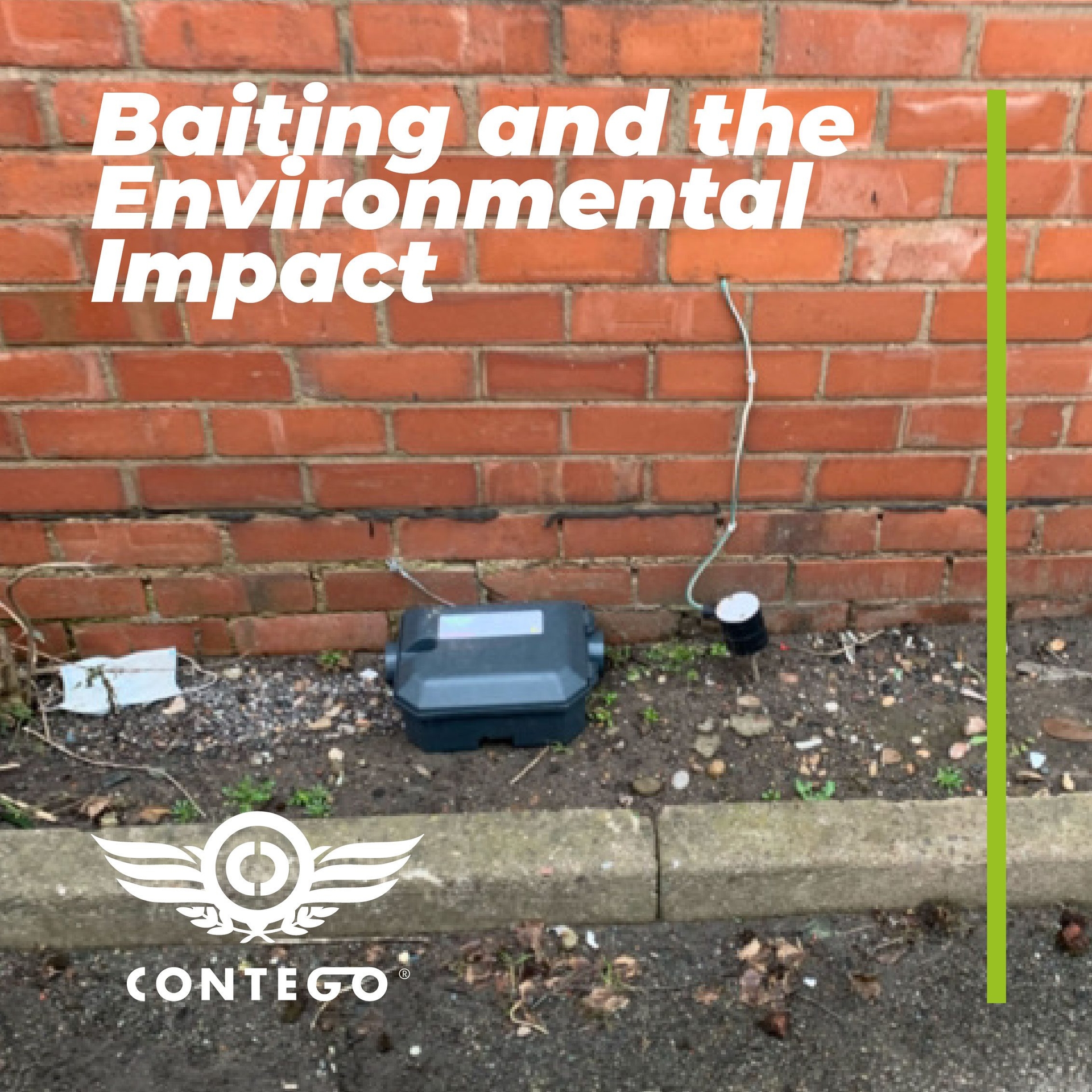 Baiting and the Environmental Impact