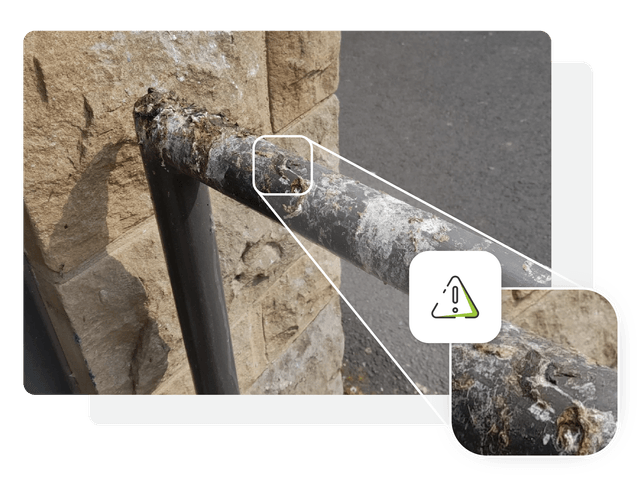 Guano on Handrail contained in decorative frame