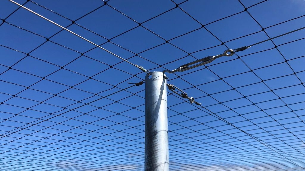 Bird Netting Closeup.jpg