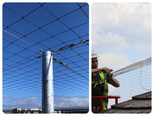 Two images side by side showing a netting installation