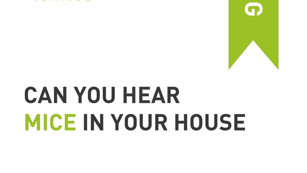 Can You Hear Mice in Your House?