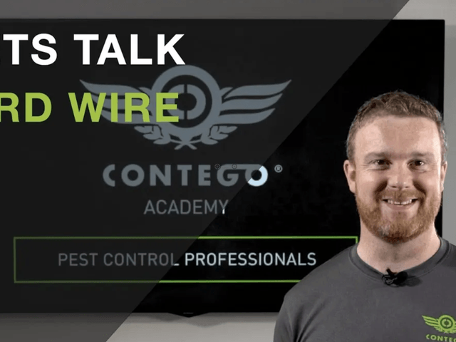 Contego Academy Bird Wire