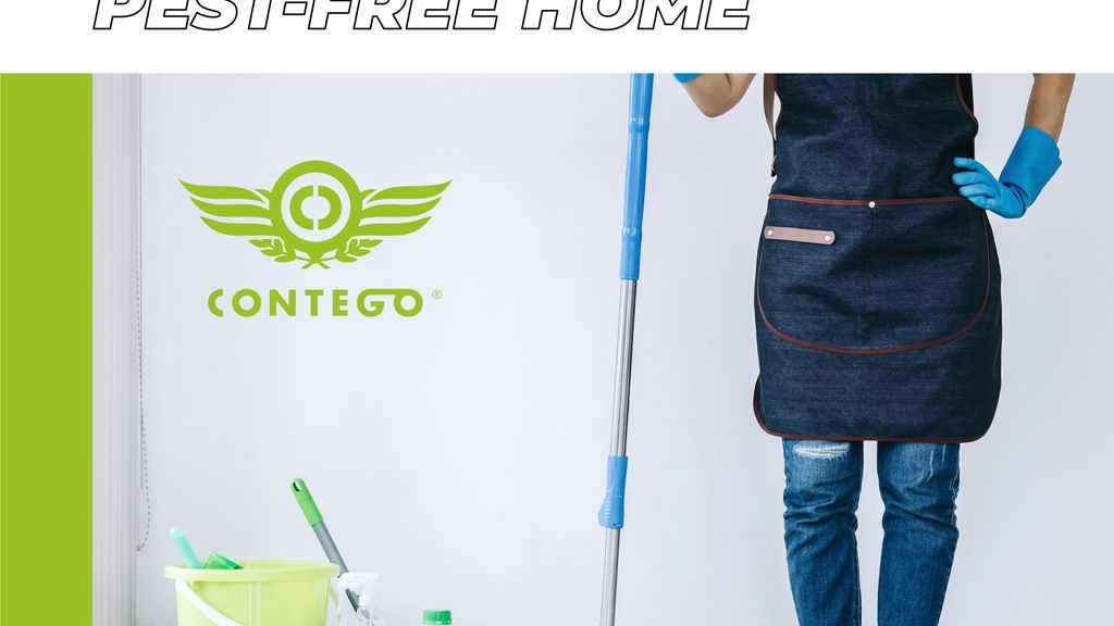 Urban Myth: Clean Houses are Pest-Free Houses