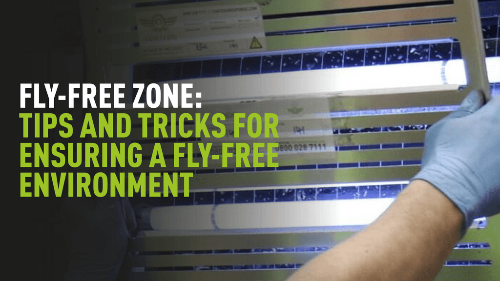 Fly-Free Zone: Tips to Ensure a Fly-Free Environment