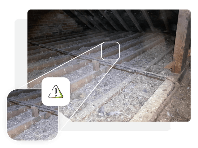 Guano in Attic