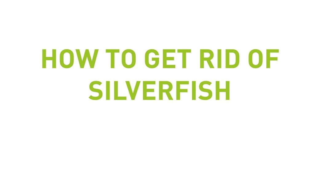 How To Get Rid Of Silverfish
