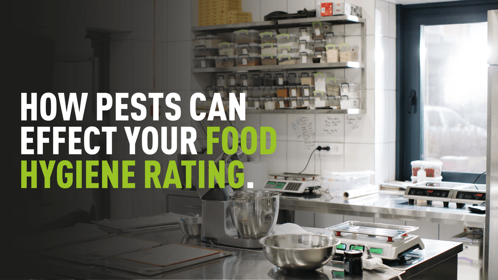 Image of kitchen with overlaying text "How pests can effect your food hygiene rating"