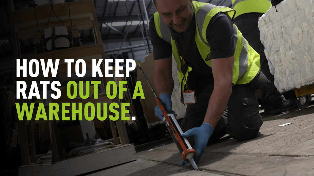 Image of a proofing technician proofing a warehouse with overlaying text which reads 'how to keep rats out of a warehouse'