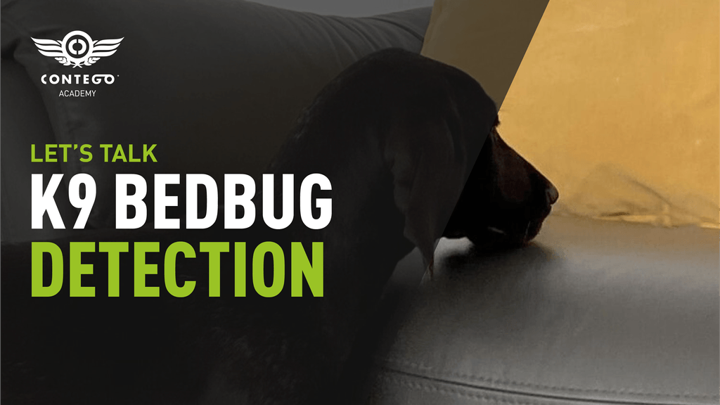 LetsTalk - K9 Bedbug Detection