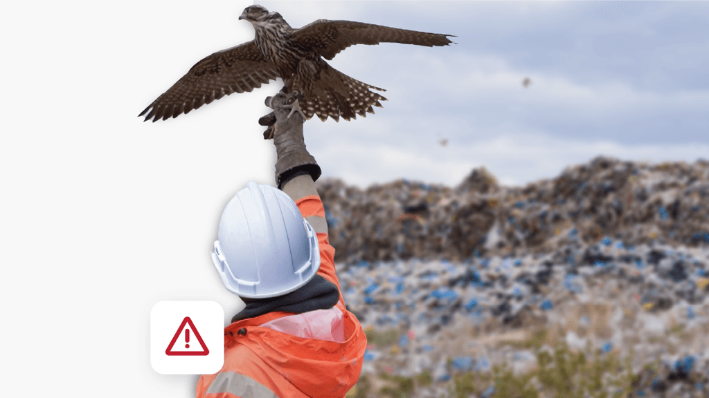 Decorative graphic of a falconer on a landfill holding a falcon in the air with a warning sign icon in the bottom left corner