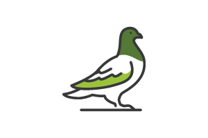 Pigeon Icon