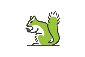 Squirrel Icon