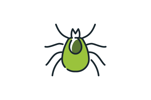 Vector illustration of a tick
