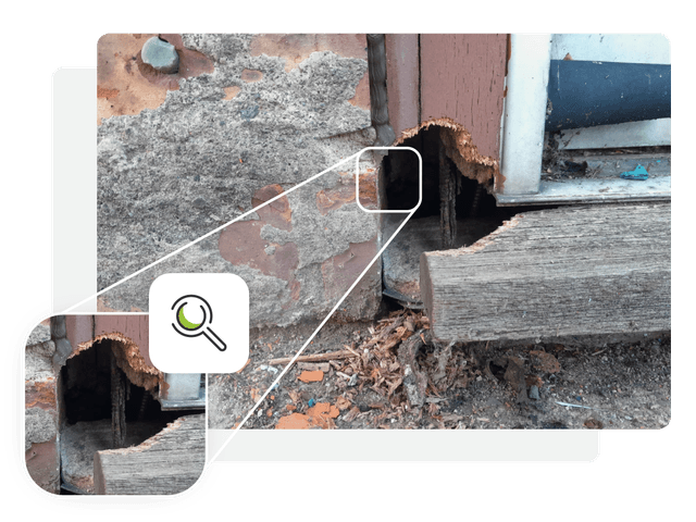 Rodent ingress point contained in decorative frame