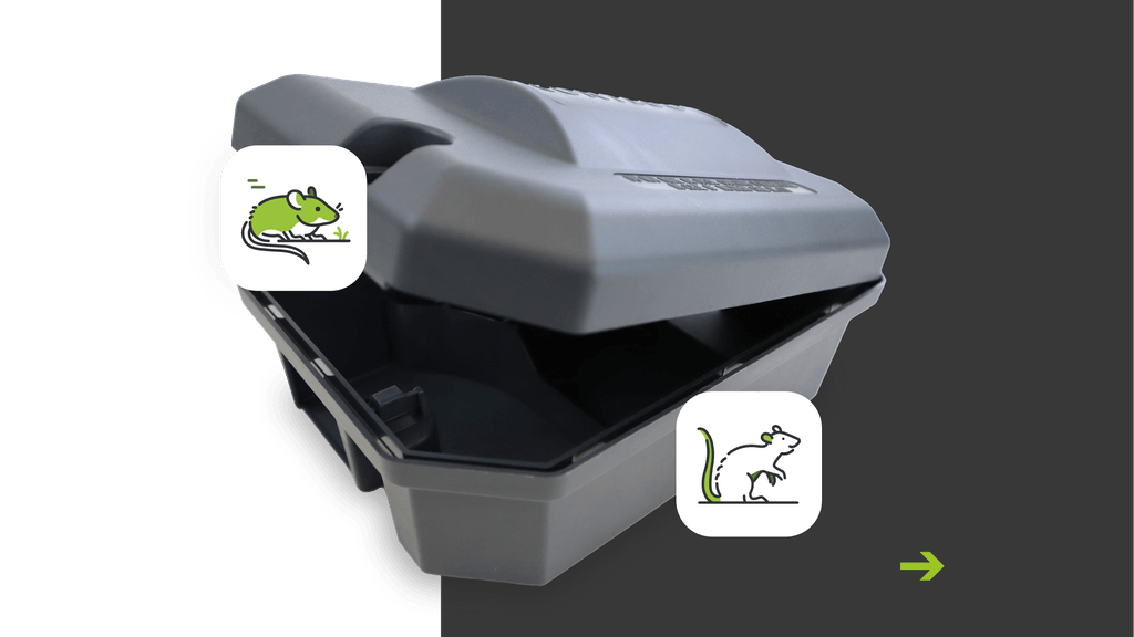 Decorative graphic of rodent box with icons a half background