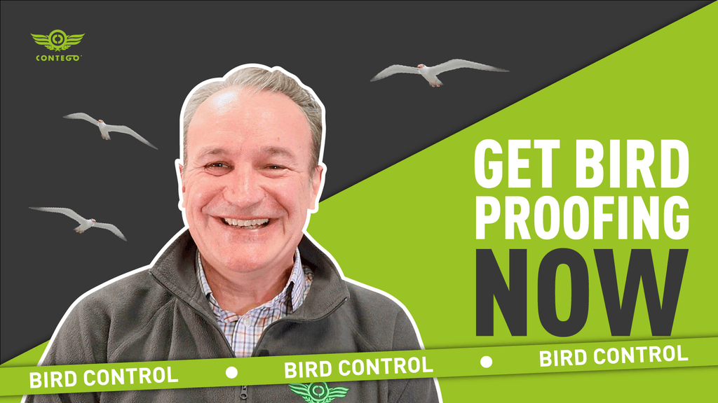 A thumbnail of Rob Curston Our Sales Director Smiling with the caption "get bird proofing now"