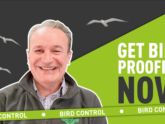 A thumbnail of Rob Curston Our Sales Director Smiling with the caption "get bird proofing now"