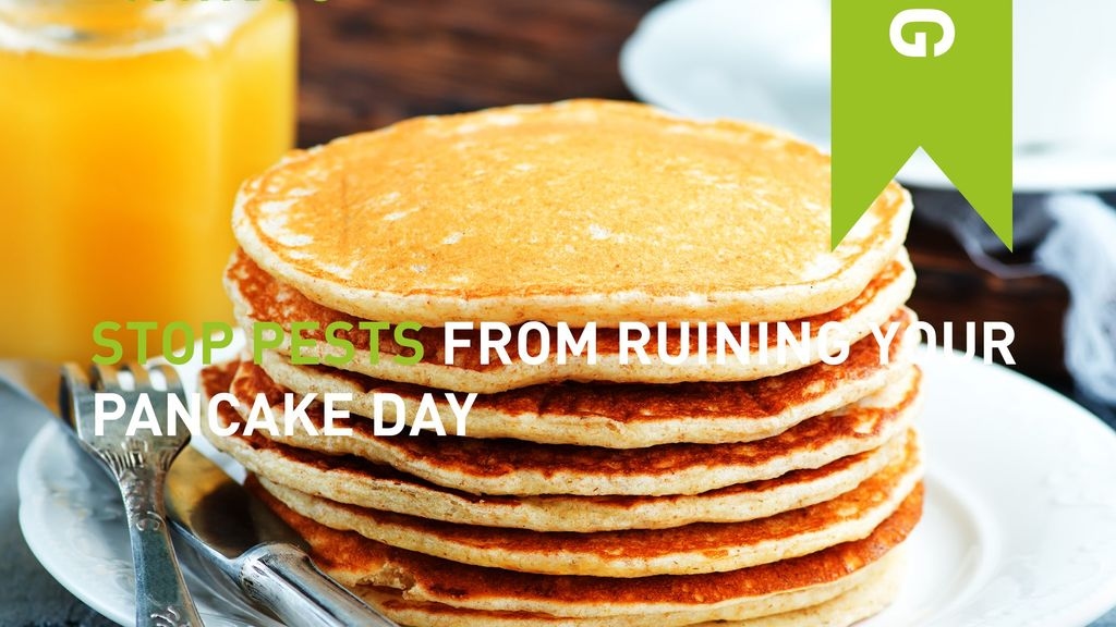 Stop Stored Product Insects Ruining Your Pancake Day