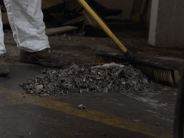 Guano Removal