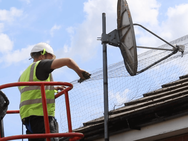 Bird Netting