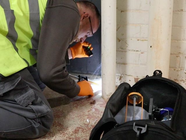 Insect Inspection