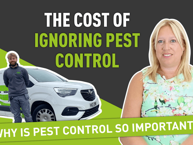 The Cost of Ignoring Pest Control