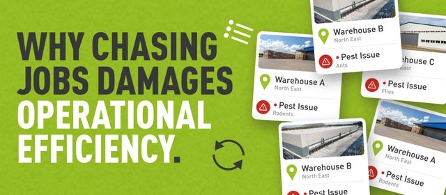Graphic with decorative cards displaying pest issues at different sites, and text which reads "Why chasing jobs damages operational efficiency"
