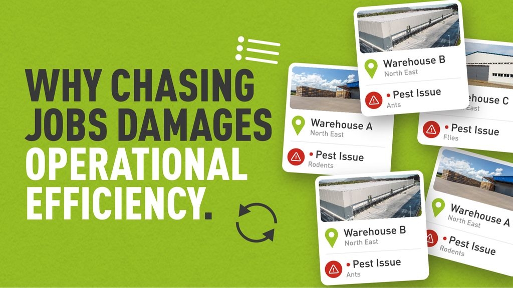 Graphic with decorative cards displaying pest issues at different sites, and text which reads "Why chasing jobs damages operational efficiency"
