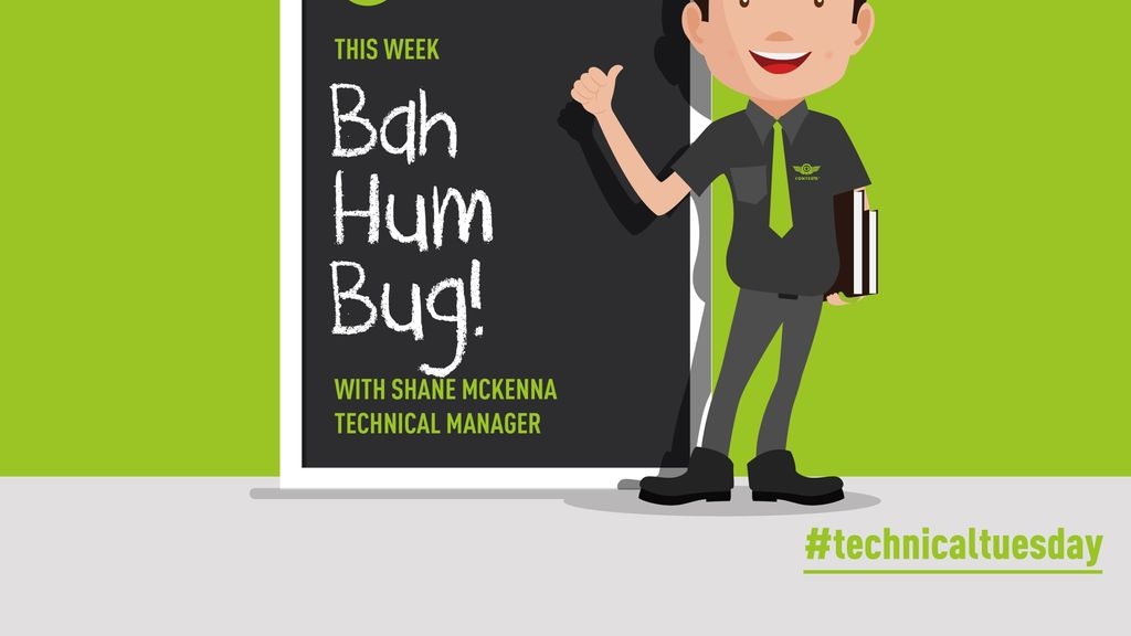 Bah Hum Bug
