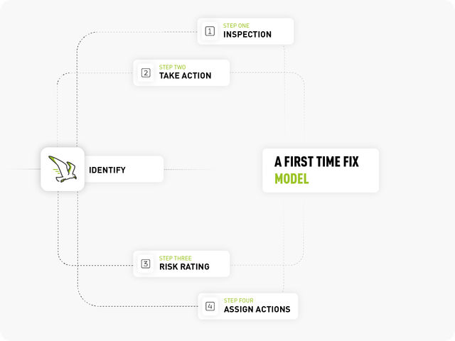 A graphic showing the process of our first time fix modal for bird control