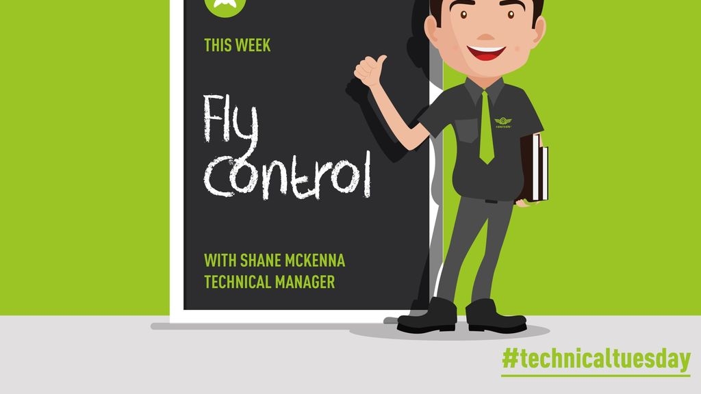Fly Control