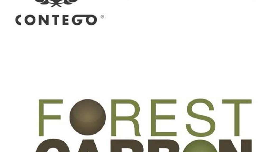 Forest Carbon