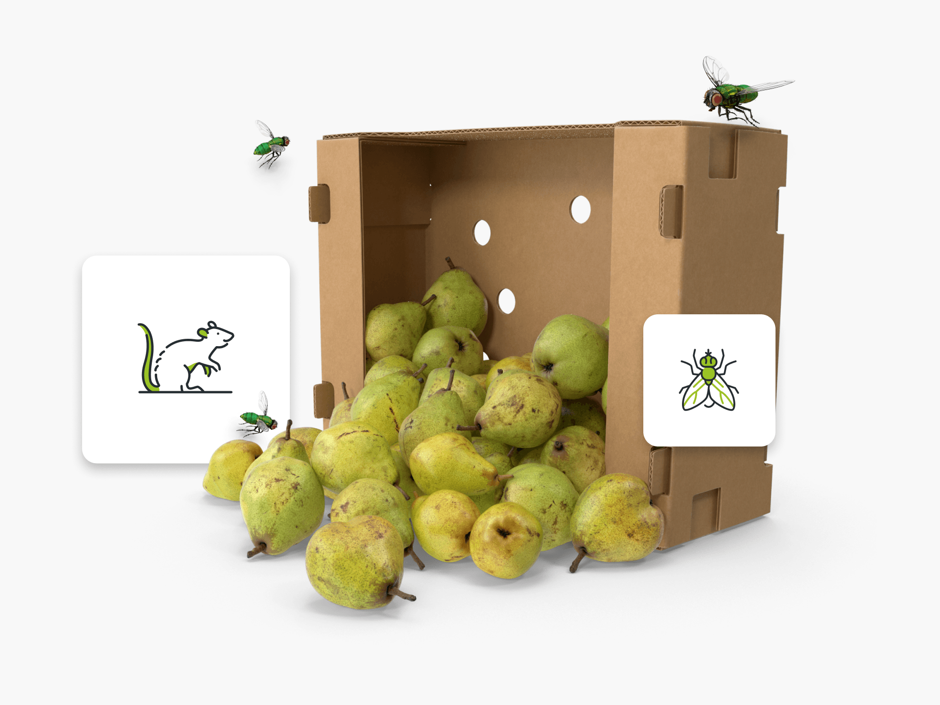 A fruit basket tipped over, graphics in the foreground and two 3d modal flies