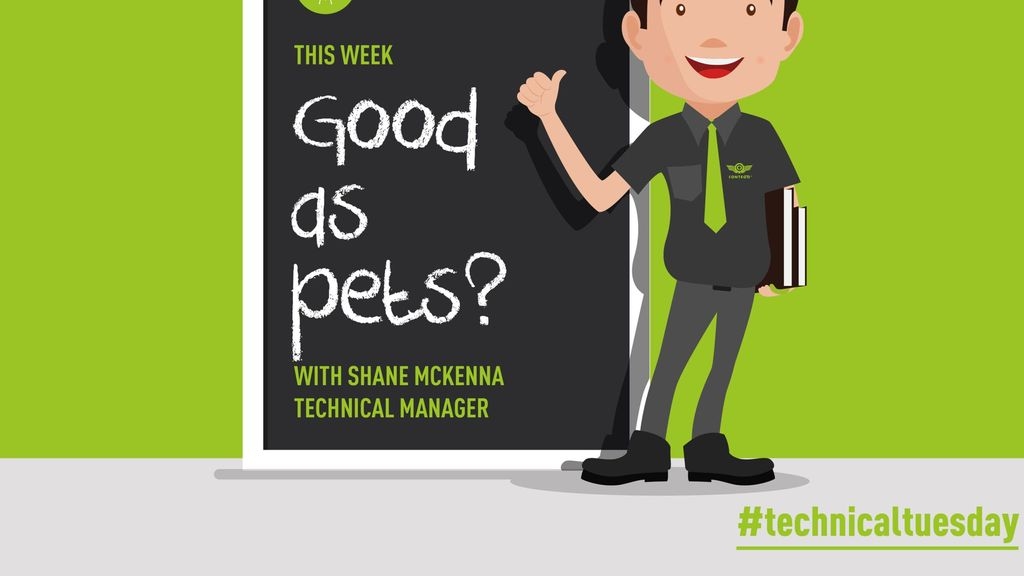 Good As Pets?