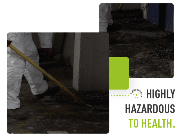 Two images of guano and text that says "Highly hazardous to health"