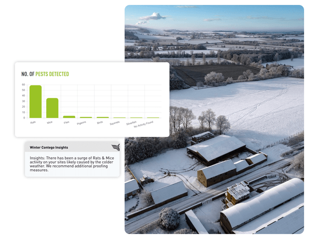 A decorative graph showing winter insights next to a wintery scenic photo