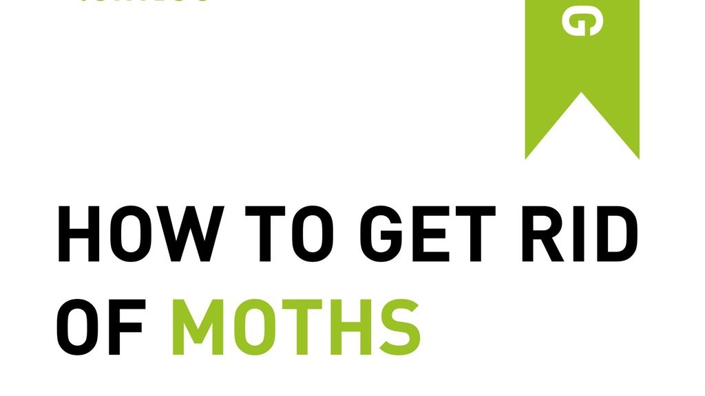 How to Get Rid of Moths