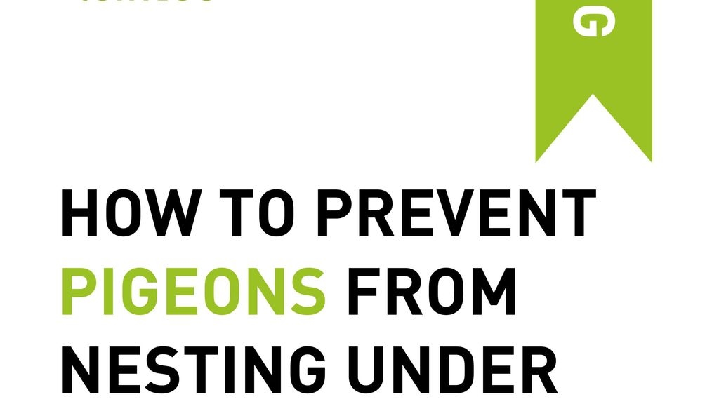 How to Prevent Pigeons from Nesting Under Your Solar Panels