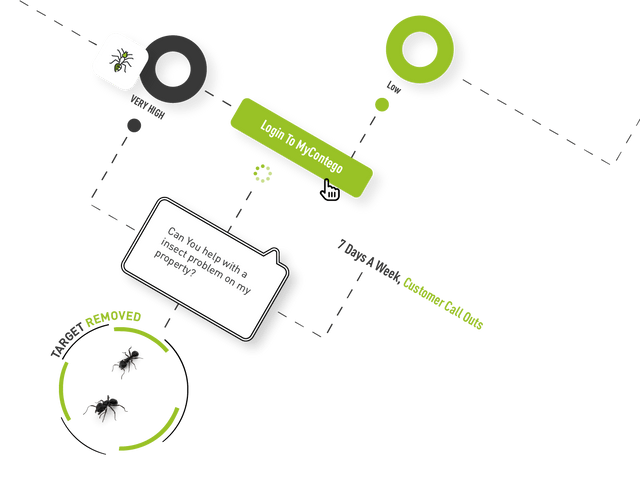 An infographic of a insect control workflow