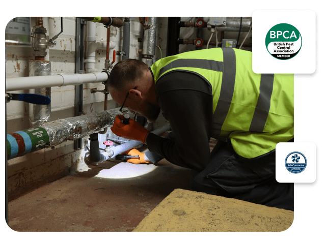 Picture of a technician doing an inspection with two decorative boxes displayed two accreditations