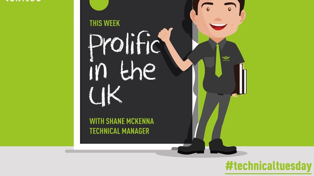 Prolific In The Uk