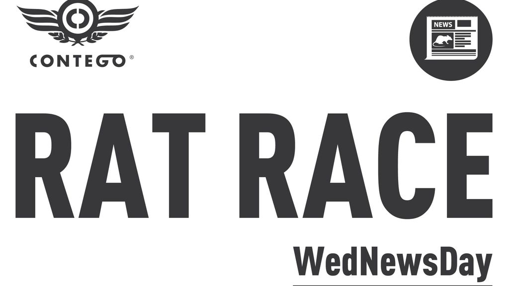 Rat Race